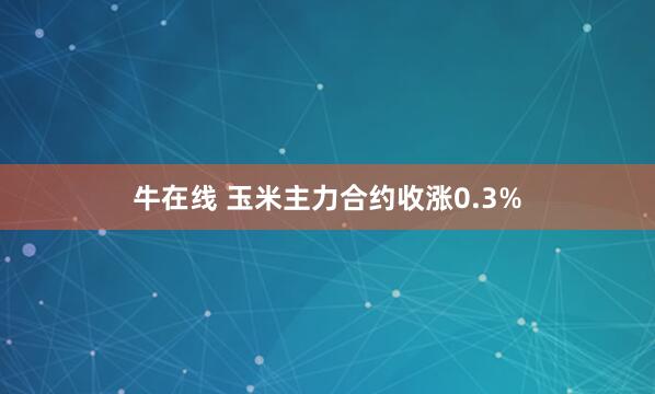 牛在线 玉米主力合约收涨0.3%