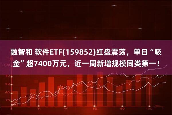 融智和 软件ETF(159852)红盘震荡，单日“吸金”超7400万元，近一周新增规模同类第一！