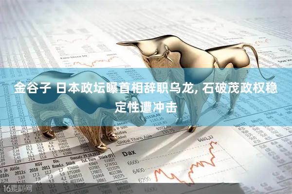 金谷子 日本政坛曝首相辞职乌龙, 石破茂政权稳定性遭冲击