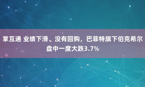 掌互通 业绩下滑、没有回购，巴菲特旗下伯克希尔盘中一度大跌3.7%