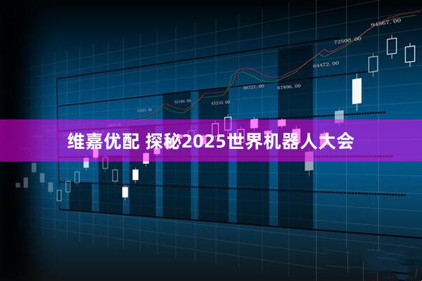 维嘉优配 探秘2025世界机器人大会