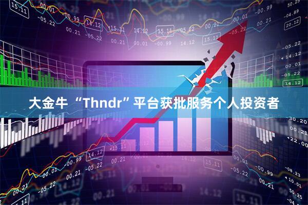 大金牛 “Thndr”平台获批服务个人投资者